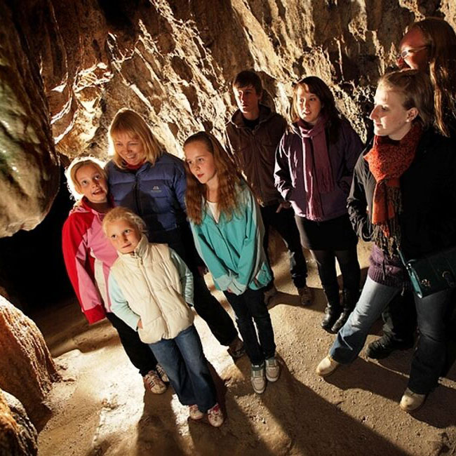 600×600 Guided tours with expert knowledge