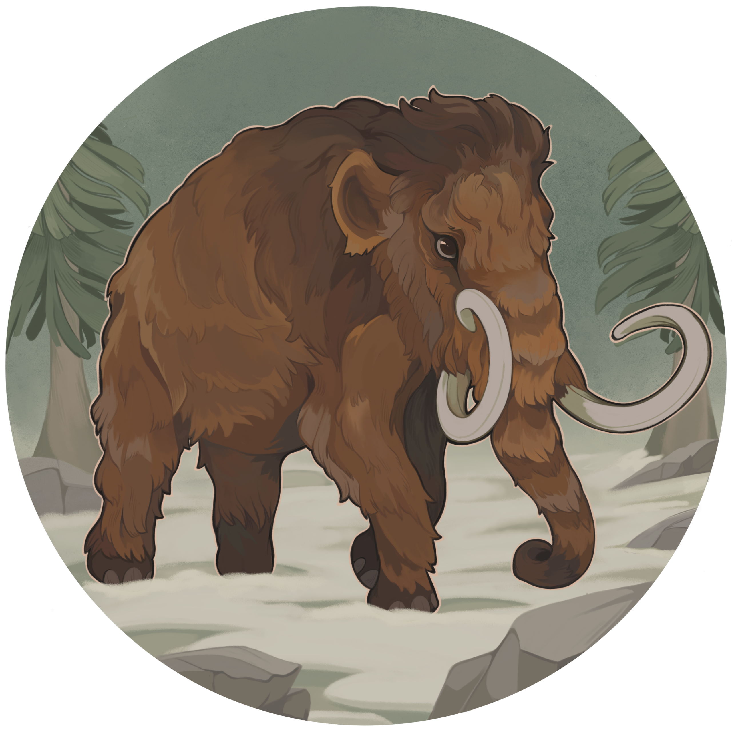 Grin Low Woods – A Site of Special Scientific Interest