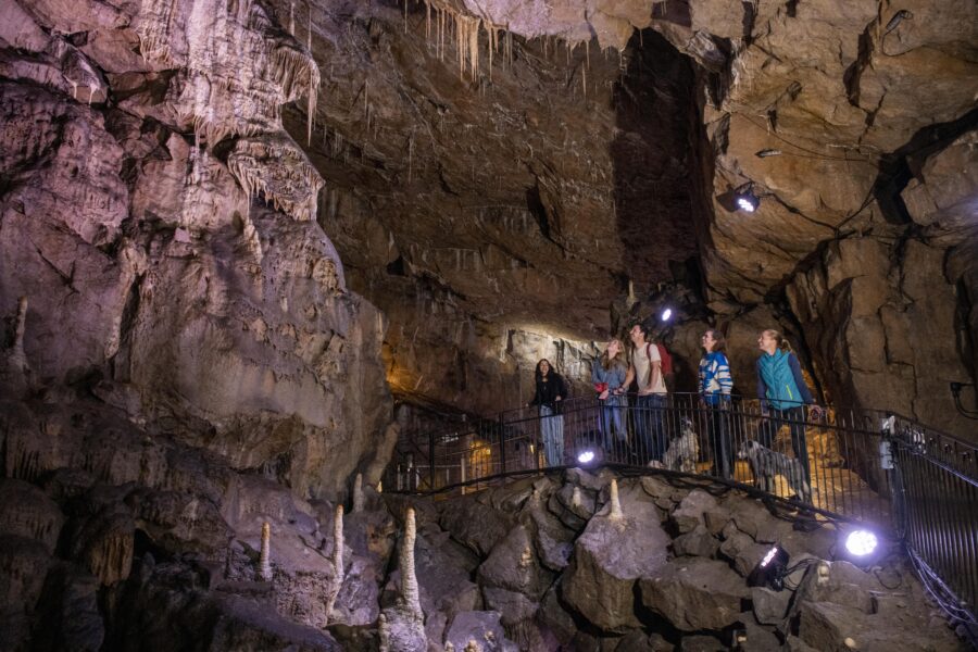 Poole’s Cavern_Tour