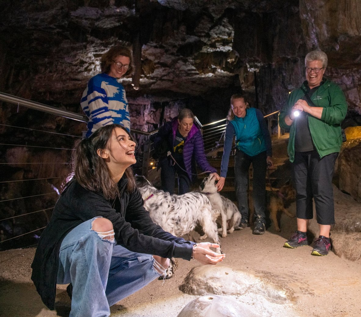 Tour1 Guided tours with expert knowledge