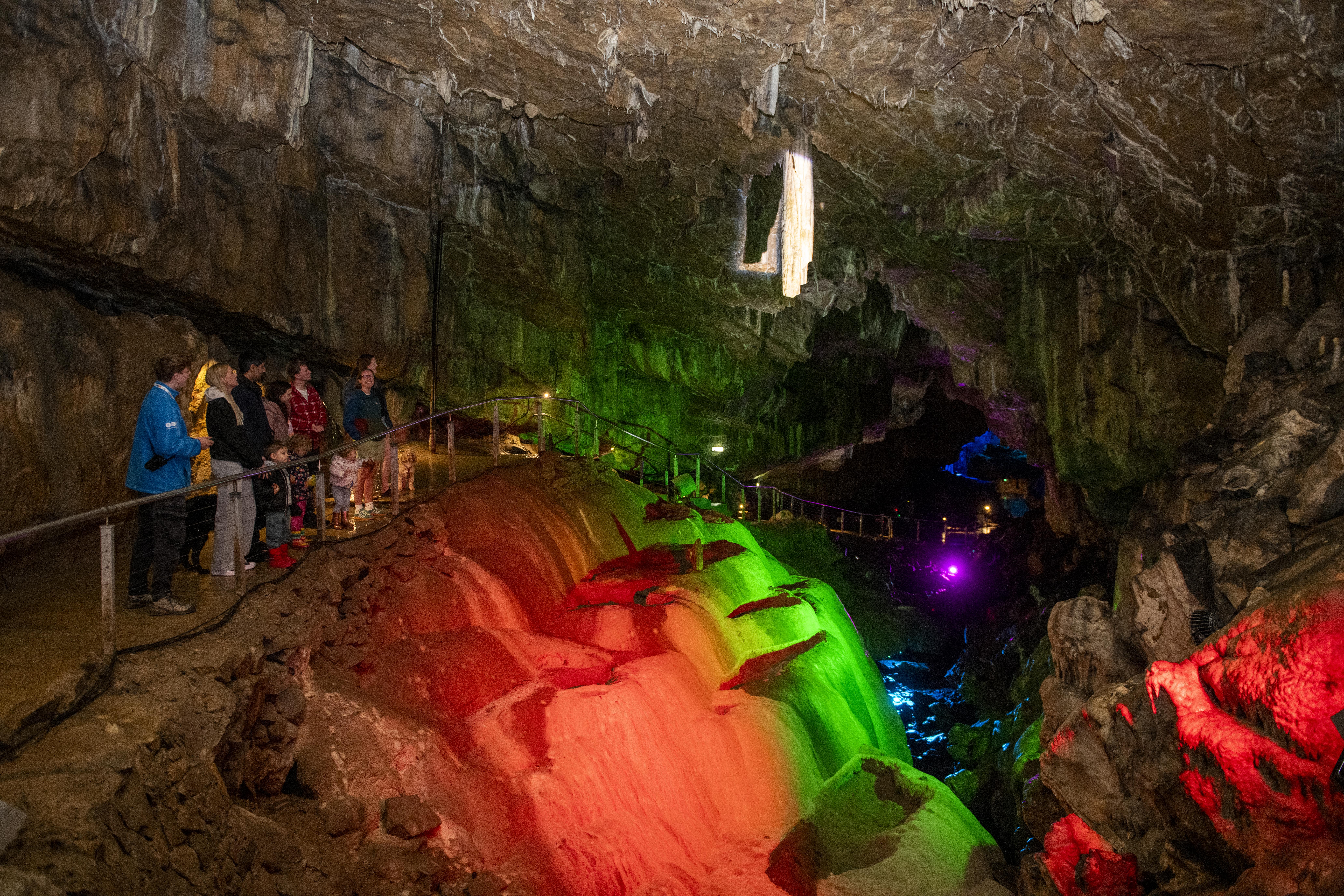 Highlights Tour Guided tours with expert knowledge