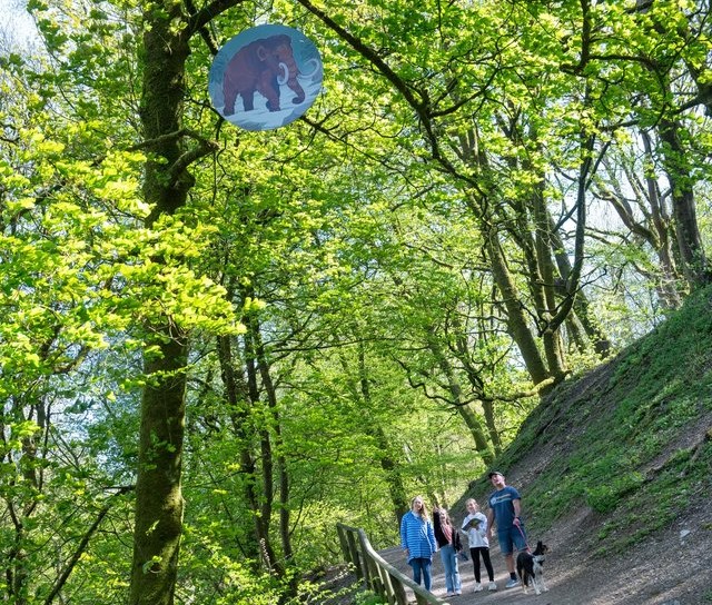 Explore Buxton Country Park and Solomon’s Temple